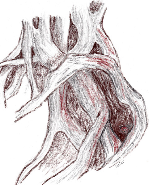 Hidden between the ancient tree's roots by Glandarius